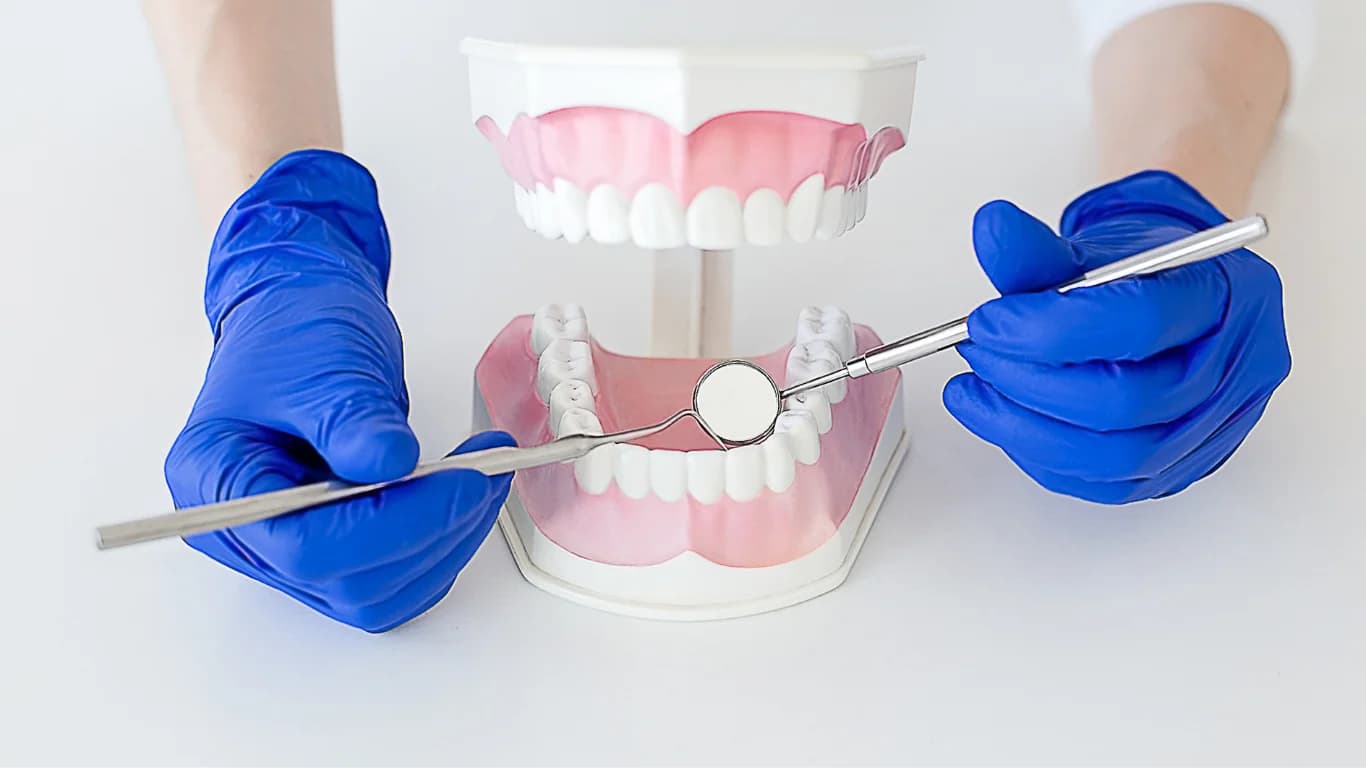 How General Dentistry Practices Prioritize Preventive Dental Care