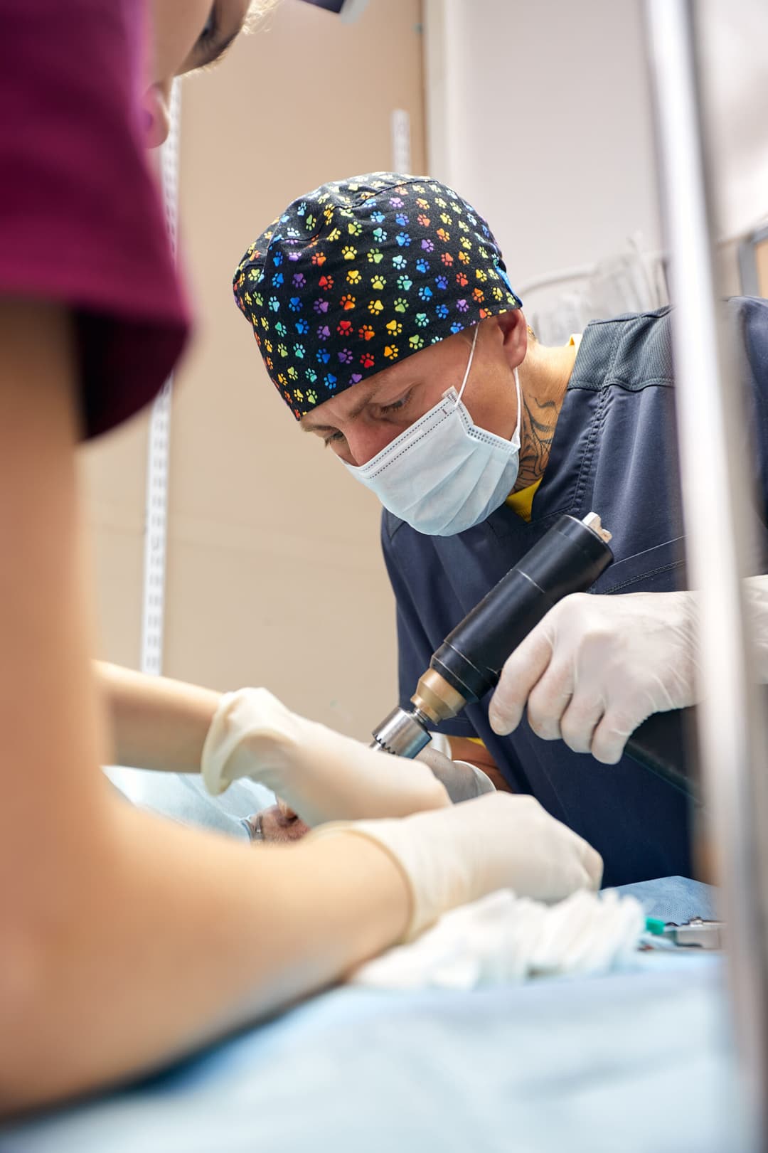 Dr. Ahdout dental practice gallery image 109
